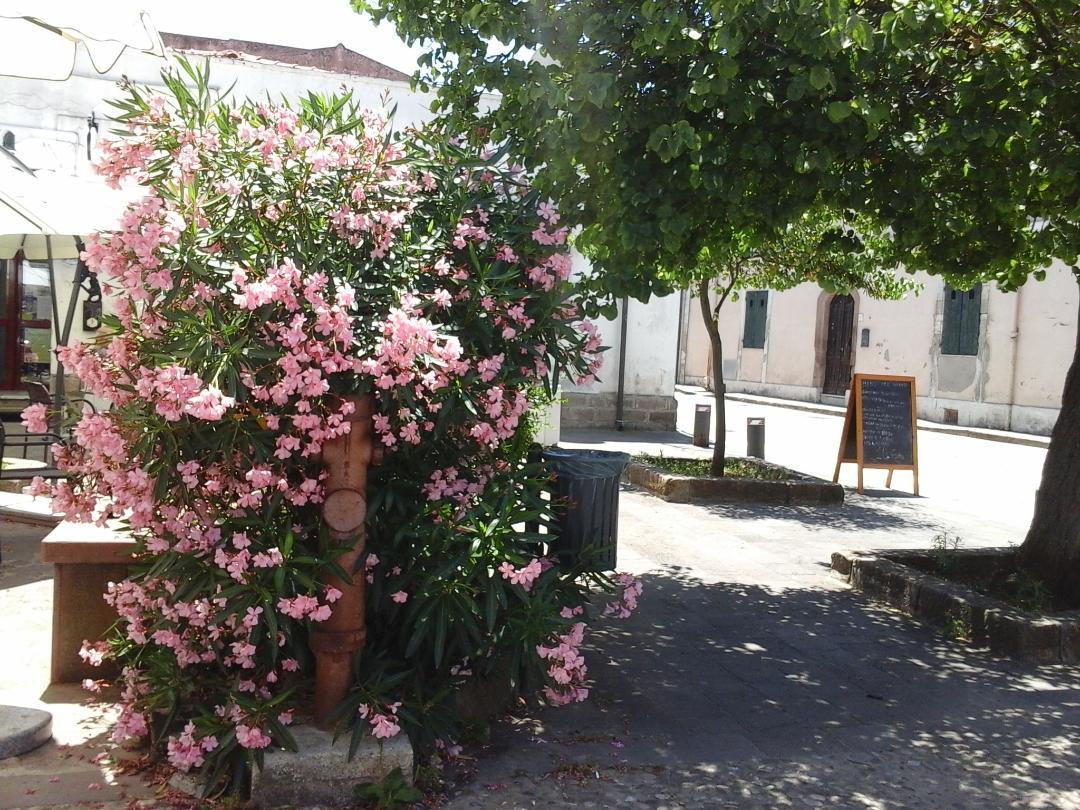 Antica Casa Cristofori Acomodação com café da manhã Usini Exterior foto